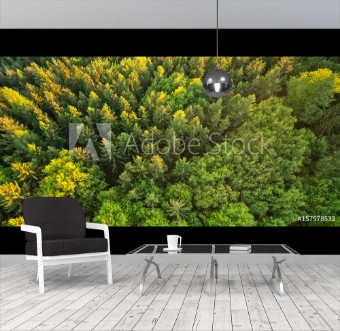 Picture of Aerial view of spruce forest